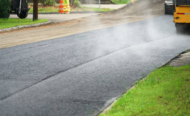 Best Custom Driveway Pavers  in Roosevelt Park, MI