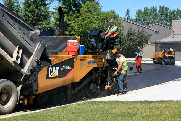 Best Driveway Paving Contractor  in Roosevelt Park, MI